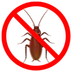 Cockroach Control Wollert
